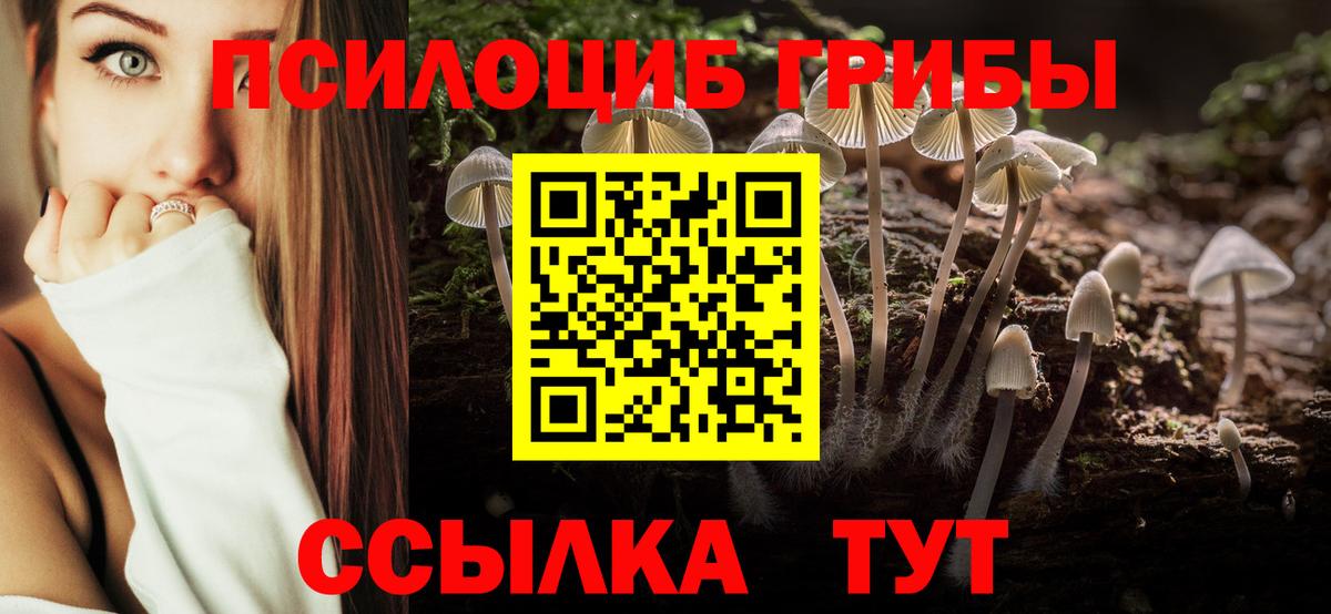Галлюциногенные грибы ЛСД  Вход с VPN  Псилоцибиновые грибы Magic Shrooms  Тверь 